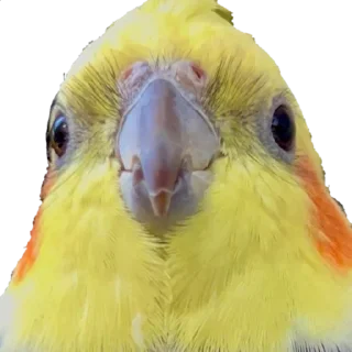 🙂