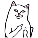 🖕