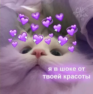 ❤️
