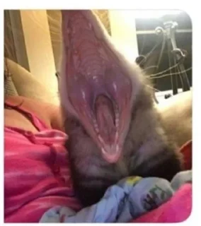 😡
