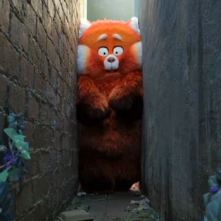 😶