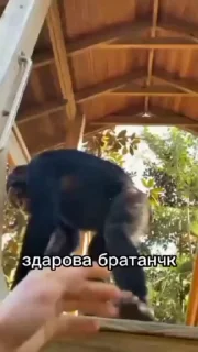 👋
