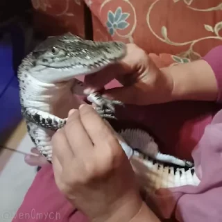 🥳