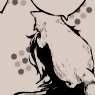 🦝