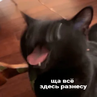🤪
