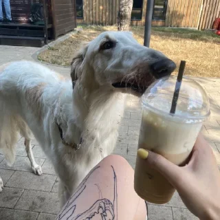 🍹