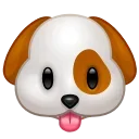 🐶