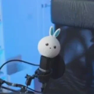 🐇