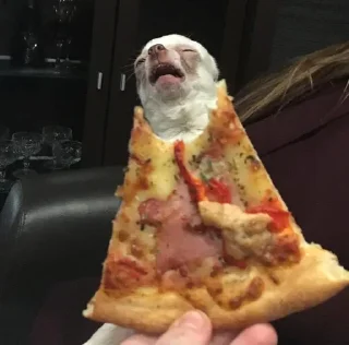 🍕