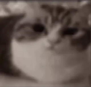 🤯