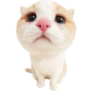 😢