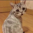 😥