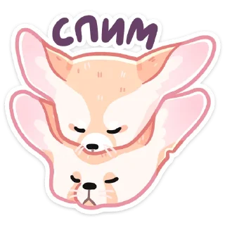 😴