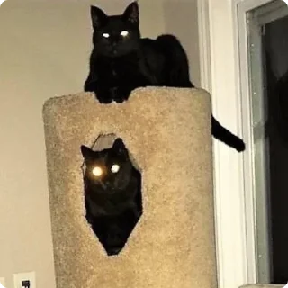 😳