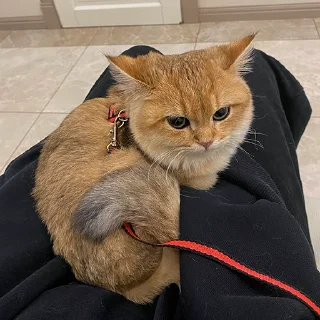 😠