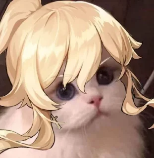 😾