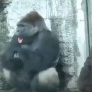 🫨