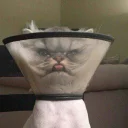 😛
