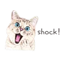 🙀