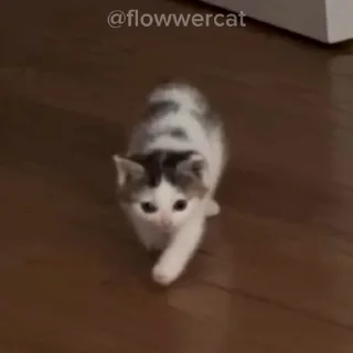 😱