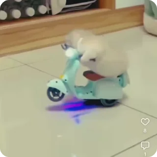 🏍️