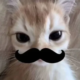 🥸