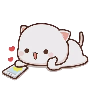 Peach Goma Cats @PeachLovesGoma