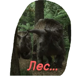 🌲
