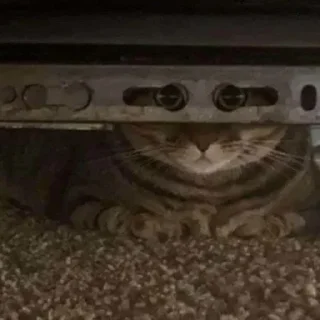 👀