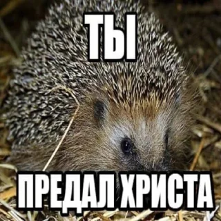 🗿