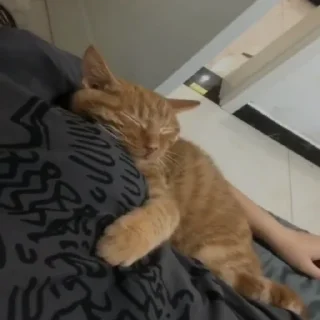 😴