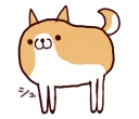 🐶
