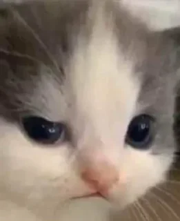 😭