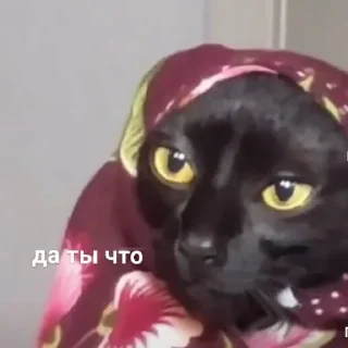 🤨