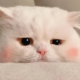 😓