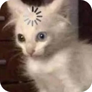 🤨