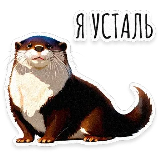 🦦