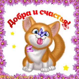 😺