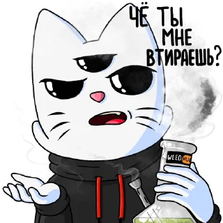 😾