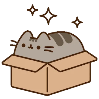 ✨