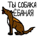 🐕