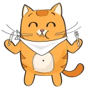 🐱
