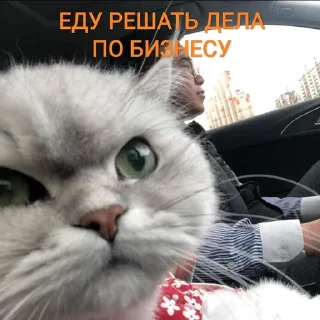 😎