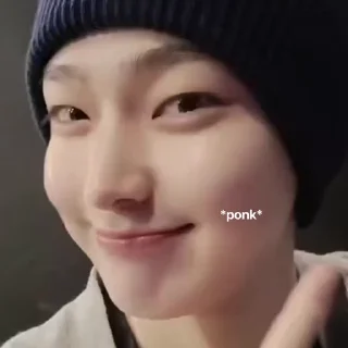 🦊