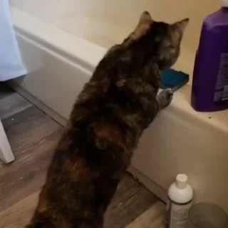 🤩