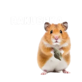 🐹