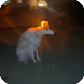 😔