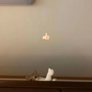 👍