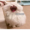 😂
