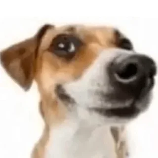 😄